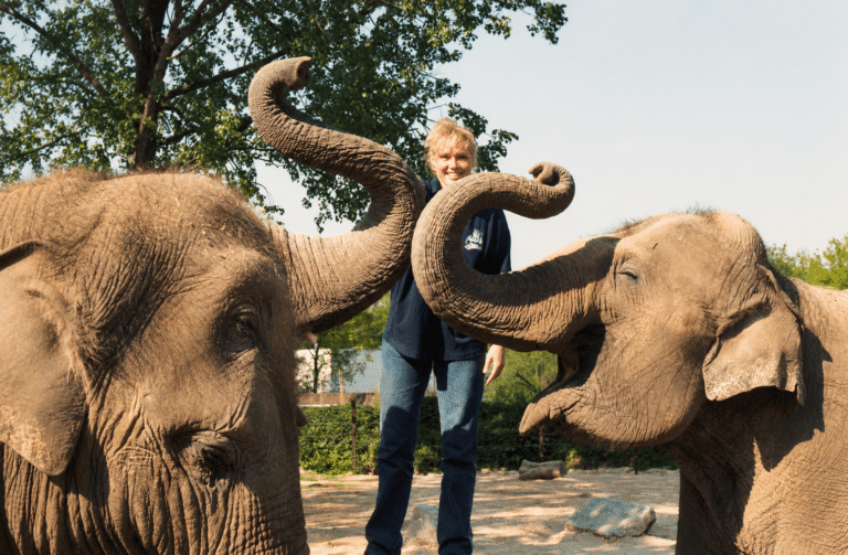 verzorger met positieve interacite tijdens een training in een dierentuin in begin jaren negentig