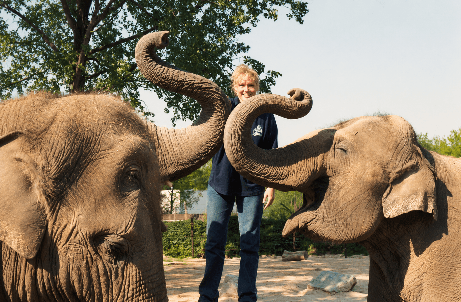 verzorger met positieve interacite tijdens een training in een dierentuin in begin jaren negentig