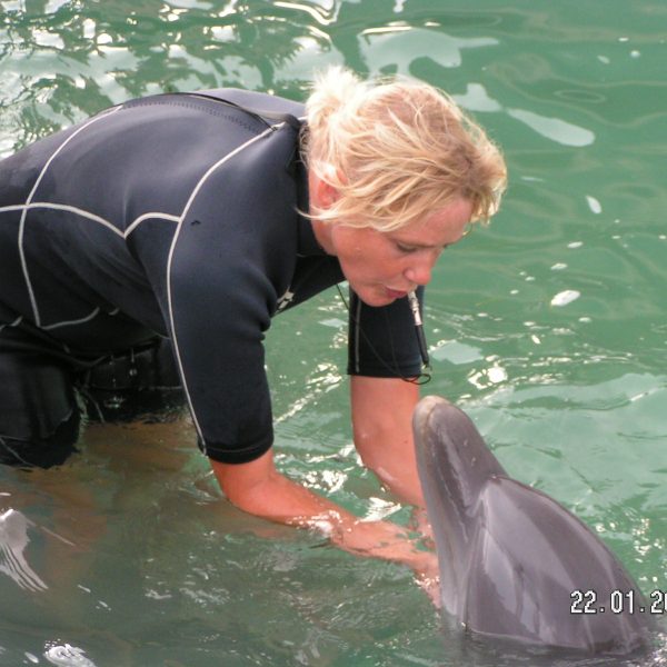 dolfijnentraining